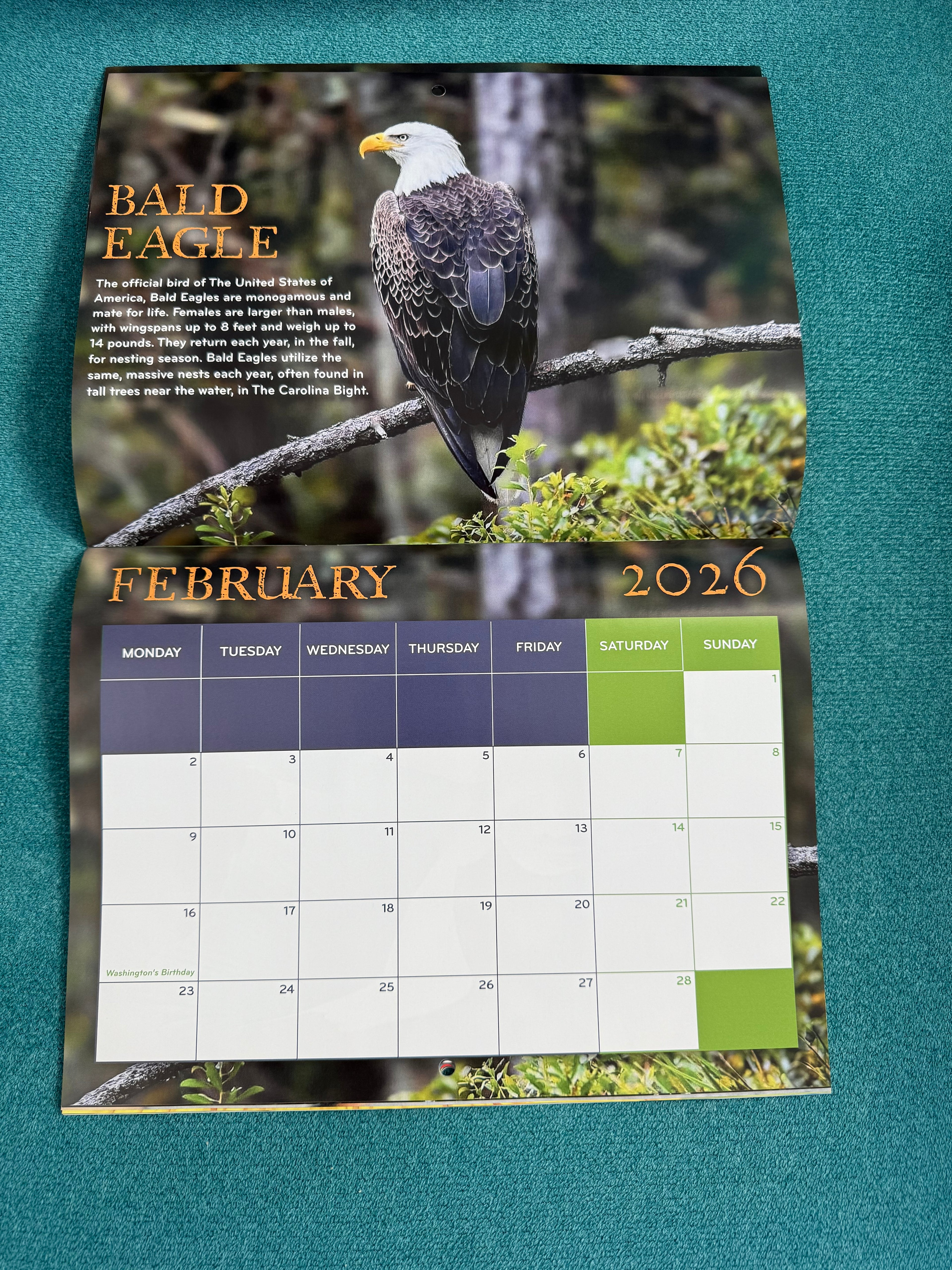 2026 Birds of The Carolina Bight Calendar