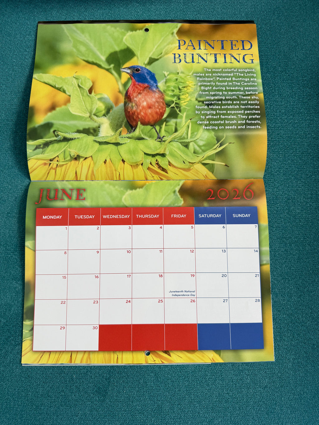 2026 Birds of The Carolina Bight Calendar