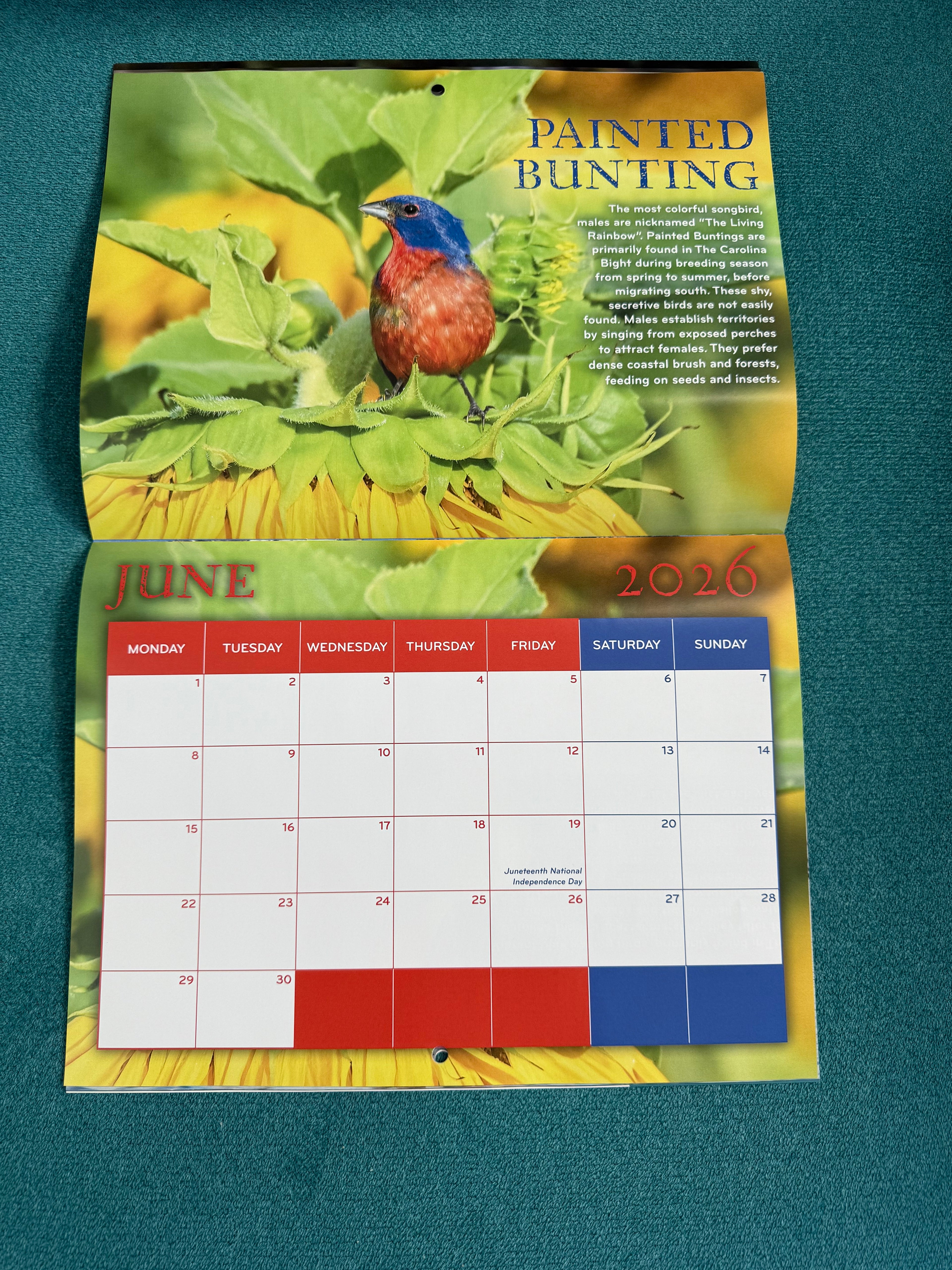 2026 Birds of The Carolina Bight Calendar