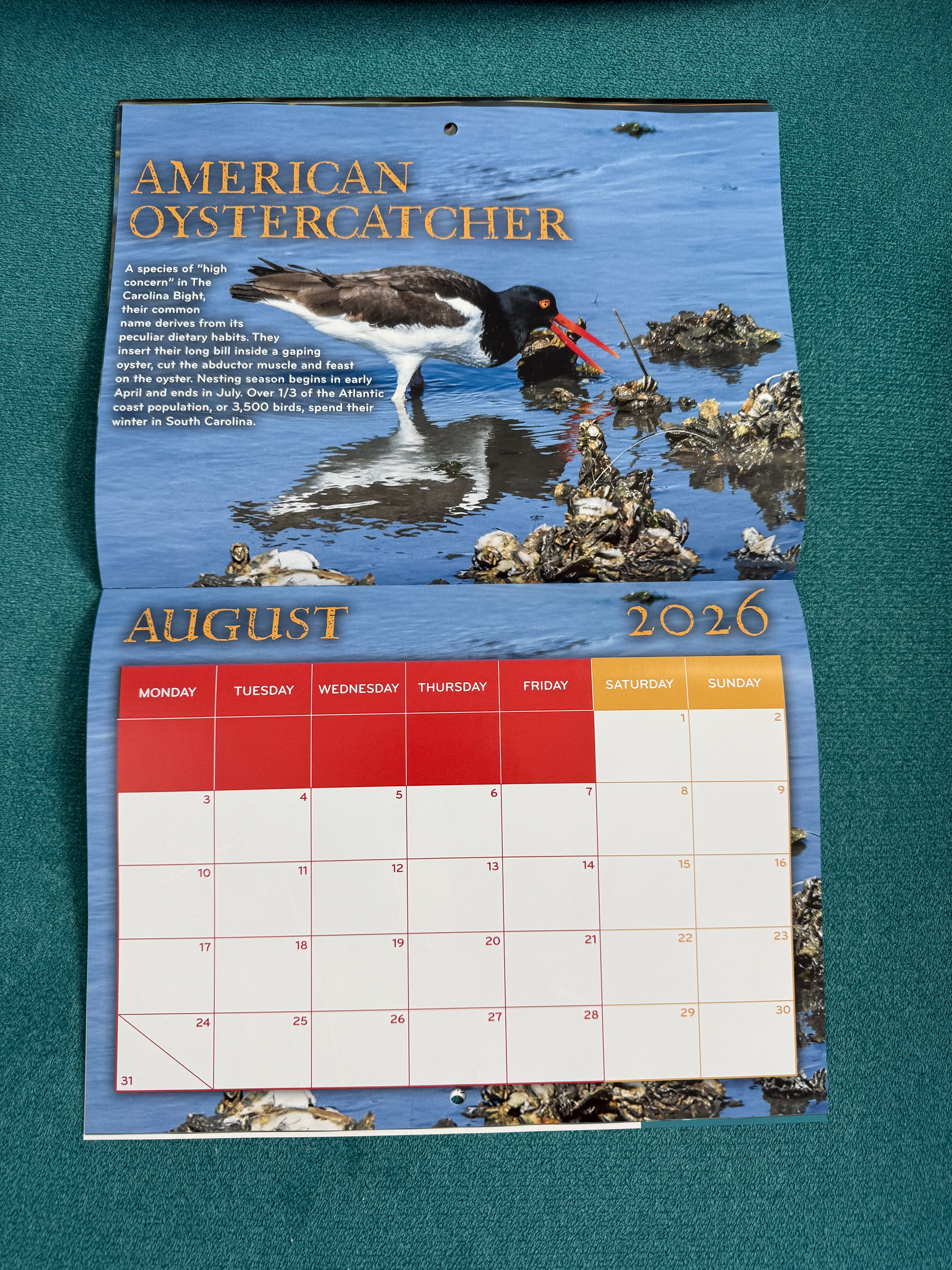 2026 Birds of The Carolina Bight Calendar