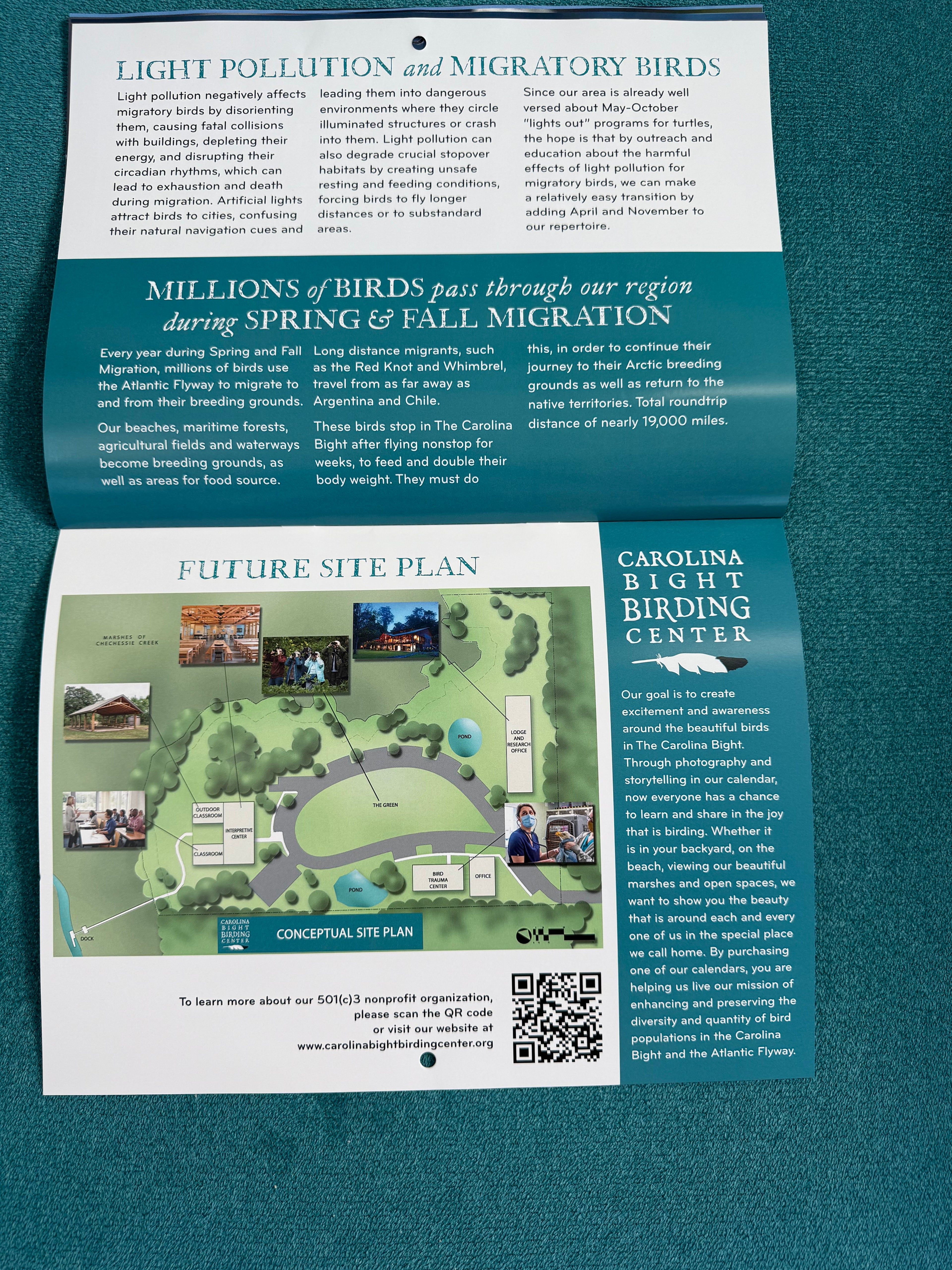 2026 Birds of The Carolina Bight Calendar