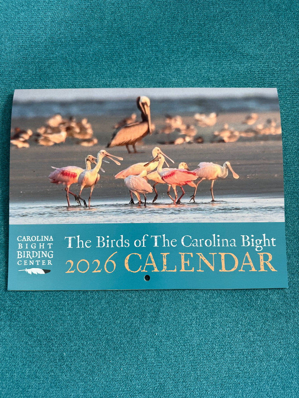 2026 Birds of The Carolina Bight Calendar